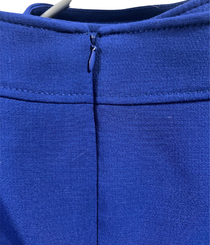 Long Sleeve Women's Blue Skirt  Suit